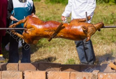 pig on a spit