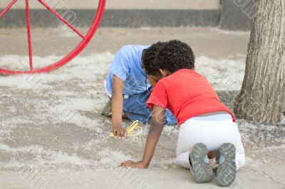 Two young boys looking at flower seed heads