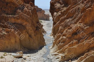 desert landscape