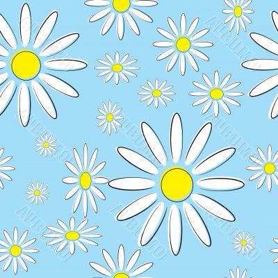 Seamless illustration of daisies