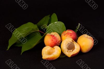 Ripe apricots on black background