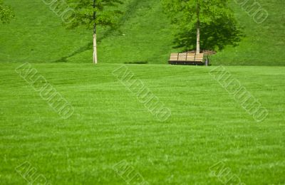 wooden bench in a city park