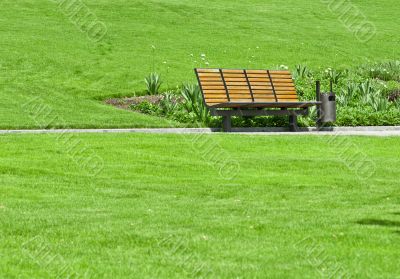 wooden bench in a city park