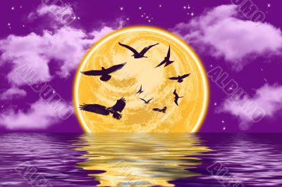 birds on the sky