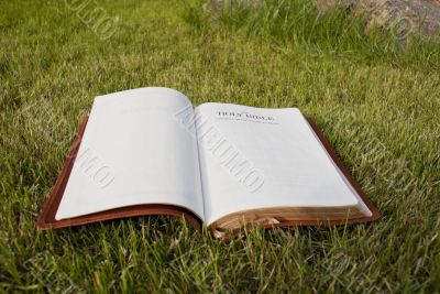 Open Bible laying on the green grass