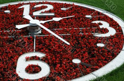 Part of Flower Clock