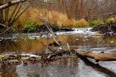 River in Central Russia in the Fall