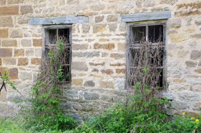 Windows of Old Abandoned Mill