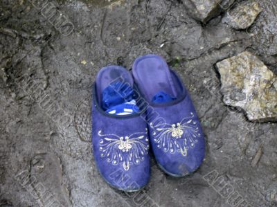 Blue slippers wait for master