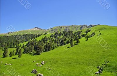 Landscape. Blue and green