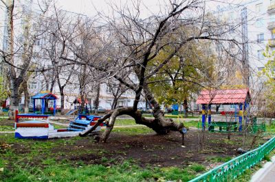 adventure playground