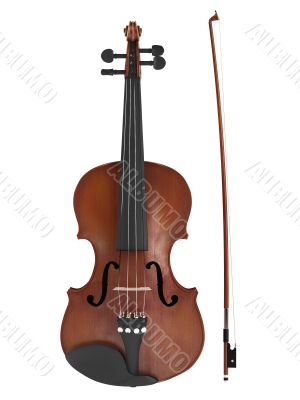 Violin