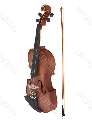 Violin