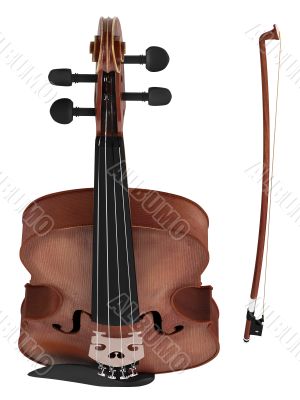 Violin
