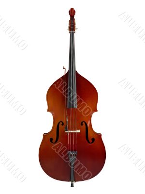 Double bass
