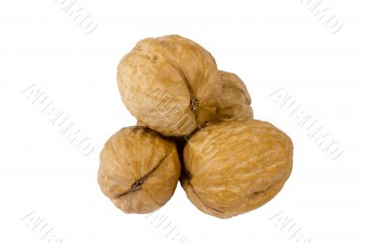Few Walnuts