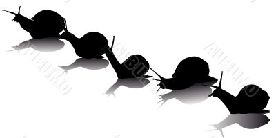 black silhouettes of the snail 