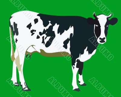 spotted cow 