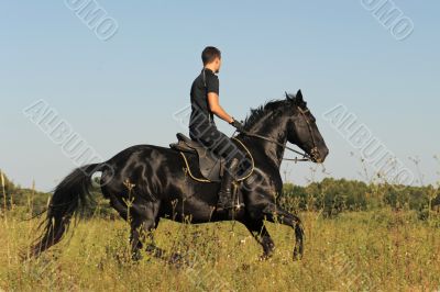 young man and horse