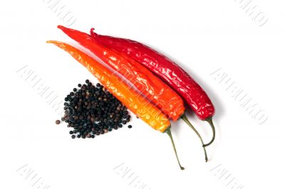 Red pepper chili and a black bell pepper