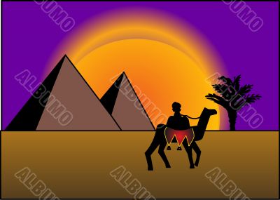  on background of the pyramids