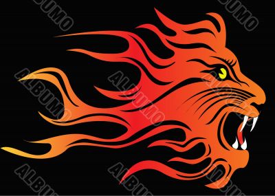 illustration infuriated lion in fire on black