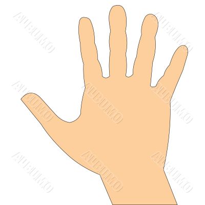 human hand