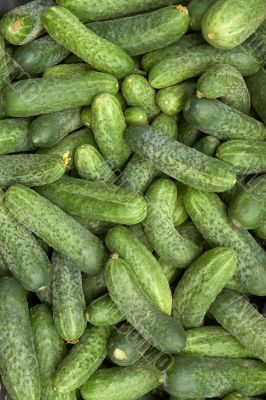 Heap of green cucumbers