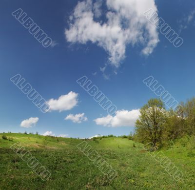 White clouds over the spring woods