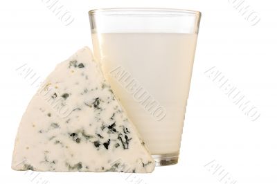 Slice of the Danish blue cheese