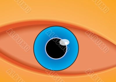 vector illustration of the eye