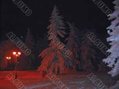 Winter landscape in red light