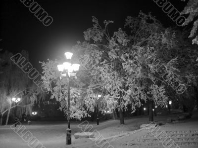 Winter landscape monochrome