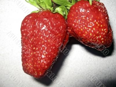 Red Stawberries isolated