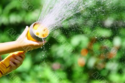 Watering Flowers