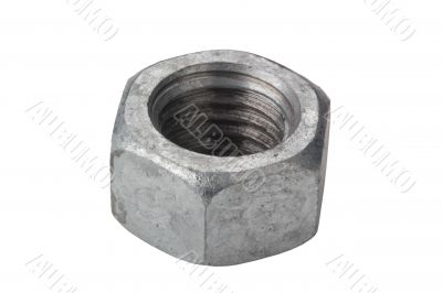 Silver Nut