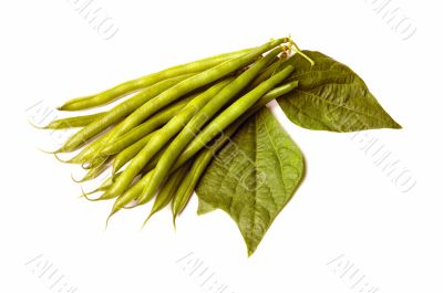 asparagus bean on white