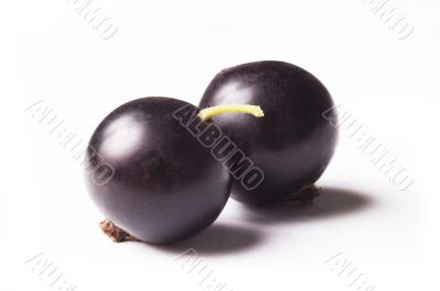 black currant isolated on white