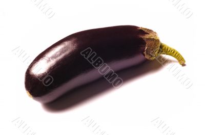 eggplant on white