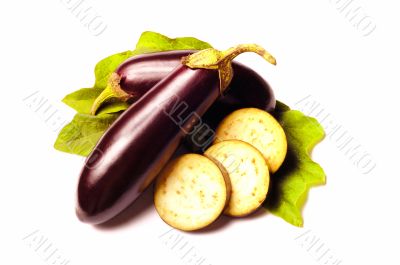 eggplant with Leafs on white