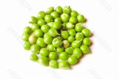 green pea  isolated on white