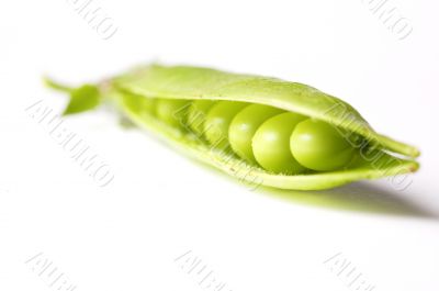 green pea  isolated on white