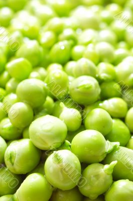 green peas with waterdrops