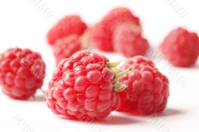raspberry isolated on white