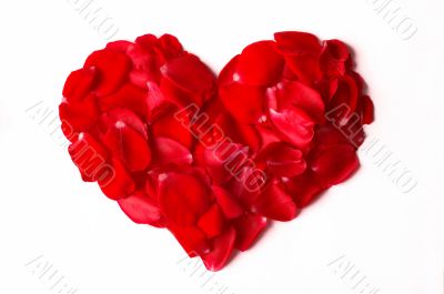 rose petals heart isolated on white