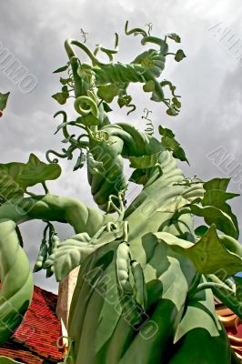 Beanstalk