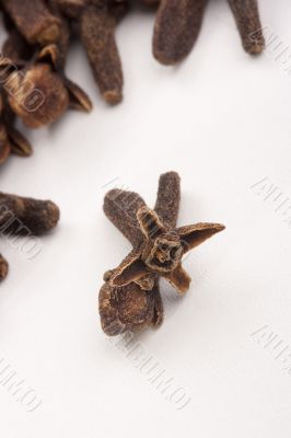 Spices