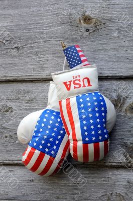 Boxing Gloves and Tiny US Flag