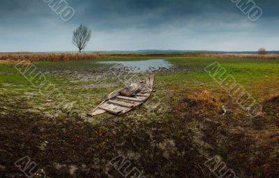 The old boat and nature