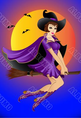 witch flying on a broomstick
